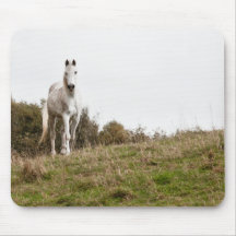 White horse mousepad