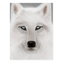 white wolf vykort