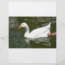 WhiteDuck reklamblad Personliga Flygblad