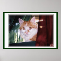 Wiggles Posters