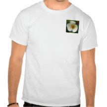 wiild steg tee
