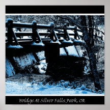 Winterbridge på silverbäck affisch