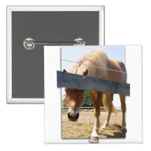 Winterhorse Knapp