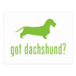 Wirehaired tax vykort