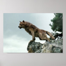 Wolf Print