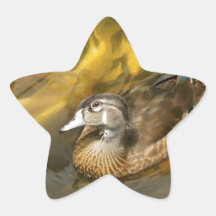 Wood anka och Koi Fish.jpg Stjärnformade Klistermärken