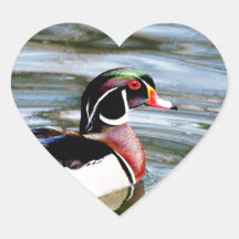 Wood Duck Heart Sticker