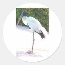 Wood stork i aftonbära klistermärke