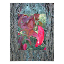 wood you leaf? fotoprints