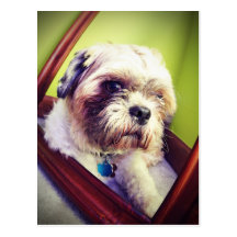 WOOF! VYKORT