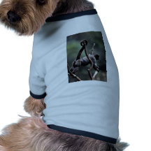 Wooly apa (Lago-thrixlagothricaen) Hund Tröja