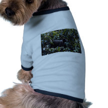 Wooly apa (Lago-thrixlagothricaen) T-shirt För Husdjur