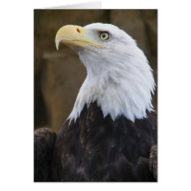 WWW.Zazzle.com/Mgifts* Kort