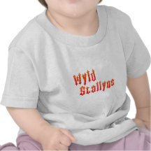 Wyld Stallyns Tee Shirt