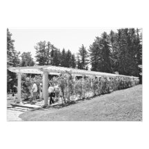 Yaddo trädgård Pergola Konstfoto