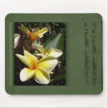 Yellow tropical plumeria flower mouse pad