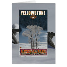 Yellowstone medborgareParkera-Kort