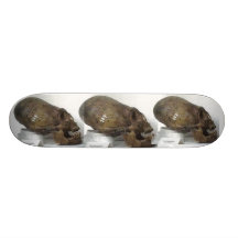 YEXEDRINEHEAD-SKATEBOARD