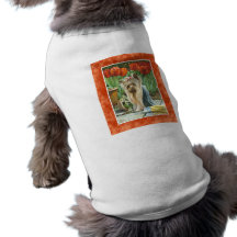 Yorkie n tulpanvalentin t-shirt för husdjur