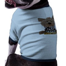 Yorkie-pojken frigör kattungar tröja för hundar