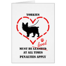 Yorkies måste älskas kort