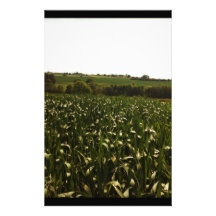 Yorkshire field personalized stationery