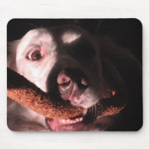 Zany engelsk Setter Musmattor