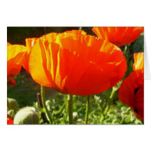 Zazzle blommigt Notecard Hälsnings Kort