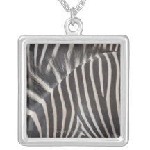 Zebror Anpassningsbar Halsband