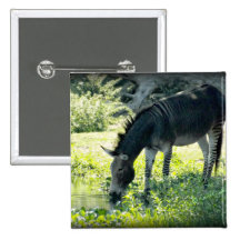 "Zedonk ", Knapp