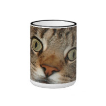 Zigenare katten kaffe muggar
