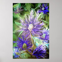 Zigensk Thistle Affisch