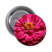 Zinnia Nål