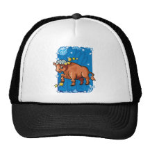 zodiak mesh kepsar