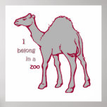 Zookamel Posters