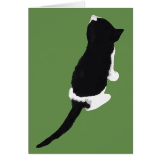 Μυξα/Myxa (en kattunge från Zakynthos) OBS Kort