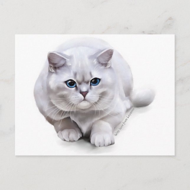 С vid ras British Shorthair Vykort (Framsida)