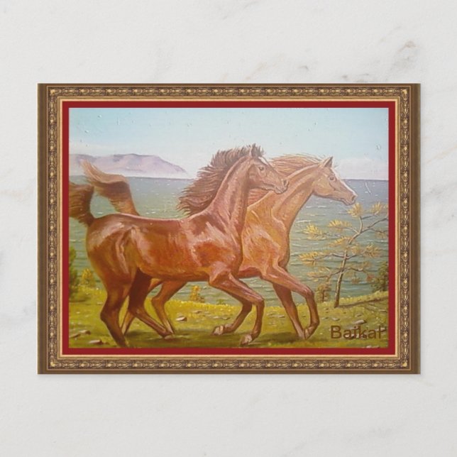 л о ш а д и н anbudssökande anbudssökande anbudssö vykort (Framsida)