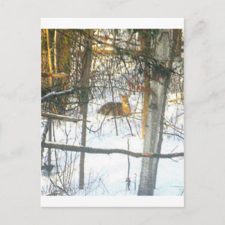 ґ ḯ tℯ ✐ ♏ ℴ rt α vykort