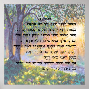 ת ה י ל ם 23 POSTER