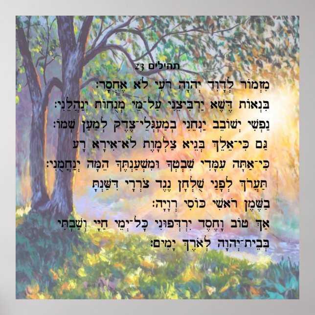 ת ה י ל ם 23 POSTER (Framsidan)