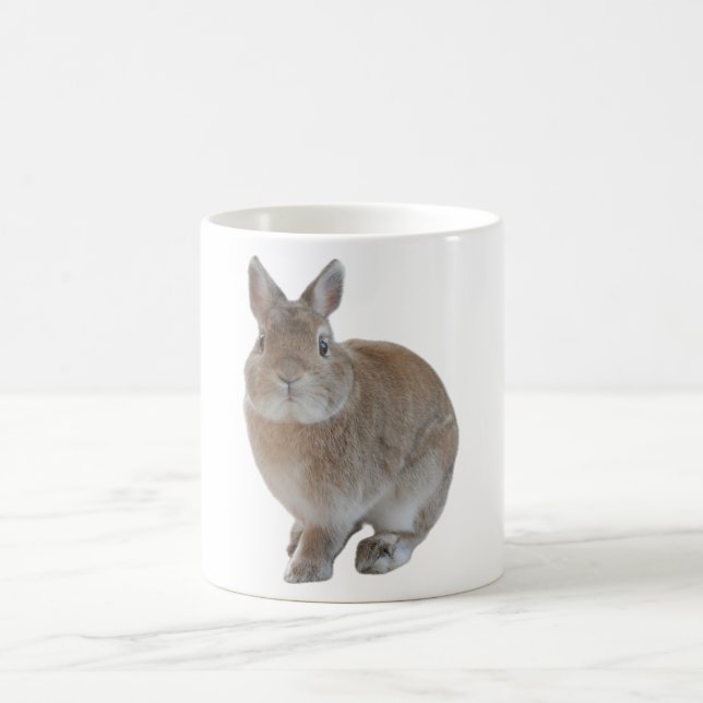うさぎのマグカップ KAFFEMUGG (Center)