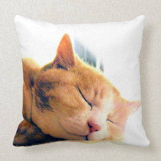 うちのかわいこちゃんのクッション KUDDE