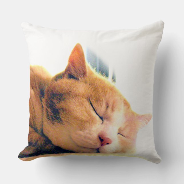 うちのかわいこちゃんのクッション KUDDE (Framsida)