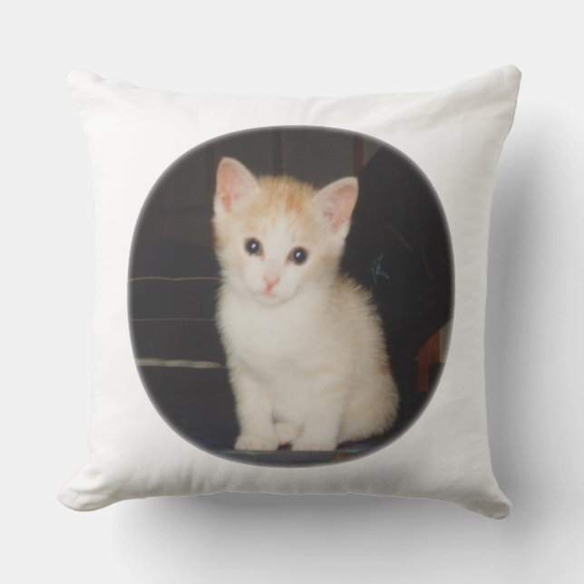 うちのかわいこちゃんのクッション UTOMHUSKUDDE (Framsida)