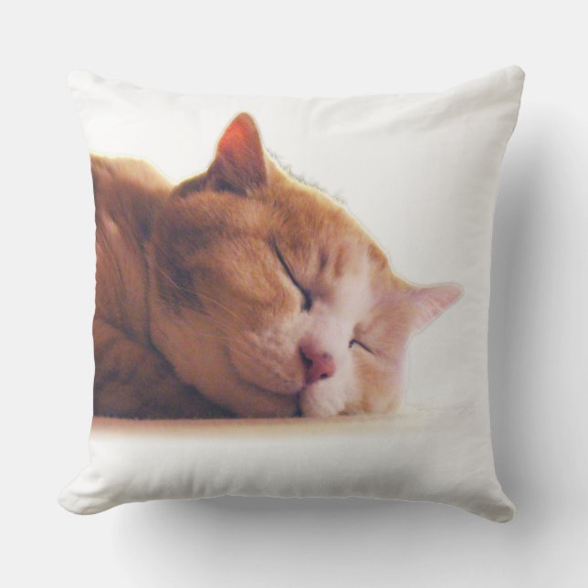 うちのかわいこちゃんのクッション UTOMHUSKUDDE (Framsida)