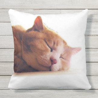 うちのかわいこちゃんのクッション UTOMHUSKUDDE