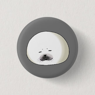 ころころアザラシ KNAPP