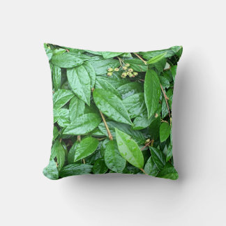 しっとり濡れた緑クッション KUDDE