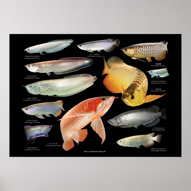 た ち の ポ ス ー POSTER (Framsidan)